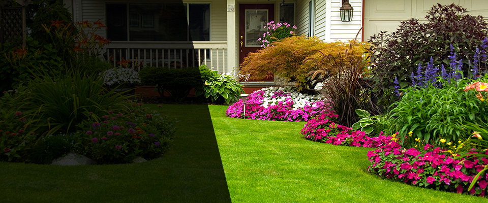 Rixeyville Landscapers