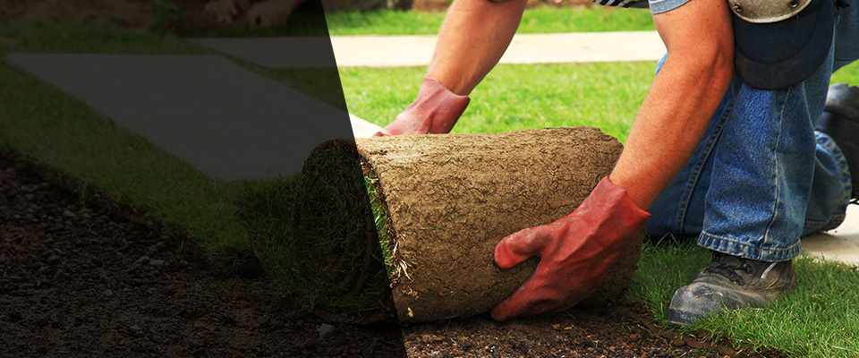 Rixeyville Landscapers